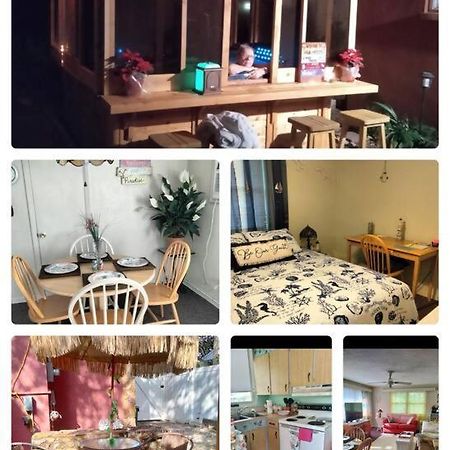 Tropical Paradise Oasis Spa Retreat Largo Εξωτερικό φωτογραφία