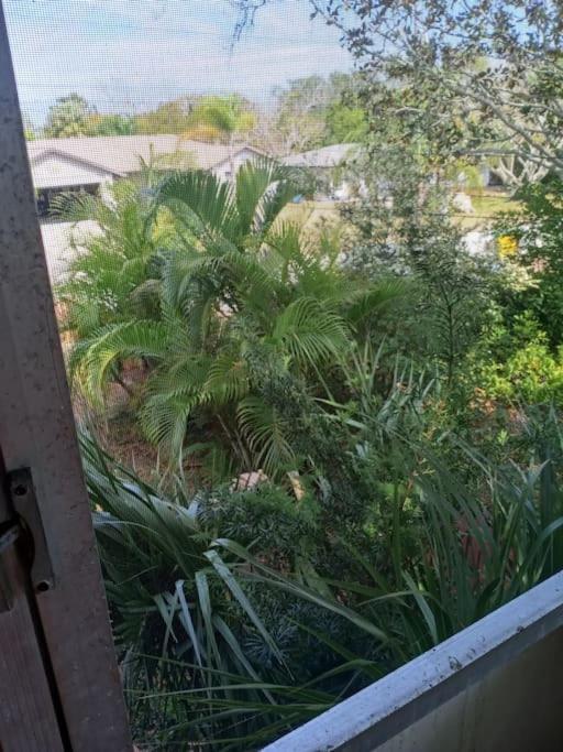 Tropical Paradise Oasis Spa Retreat Largo Εξωτερικό φωτογραφία